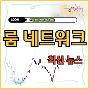 룸네트워크 코인